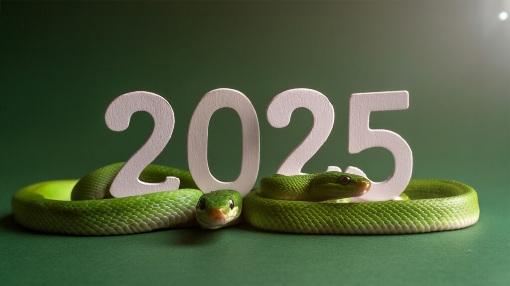 2025