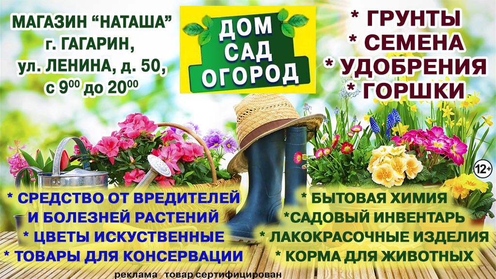 Наташа 2026